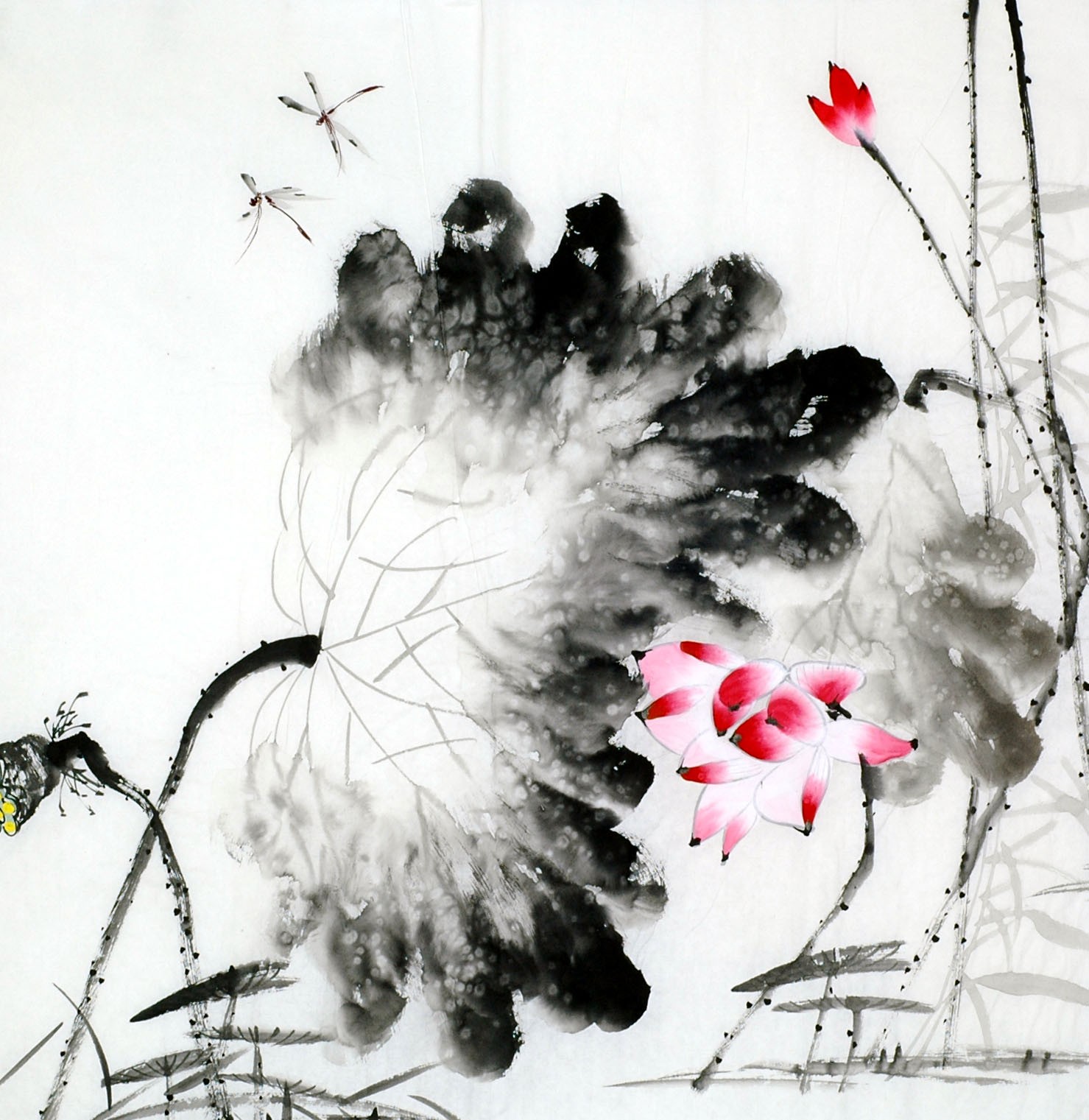 Chinese Lotus Painting - CNAG011755