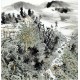Chinese Landscape Painting - CNAG011829