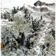 Chinese Landscape Painting - CNAG011838