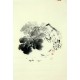 Chinese Flowers&Trees Painting - CNAG011859