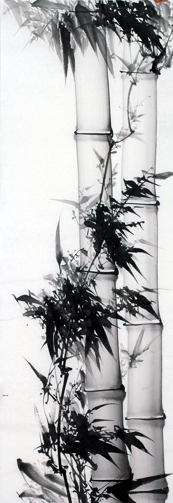 Chinese Ink Bamboo Painting - CNAG011950