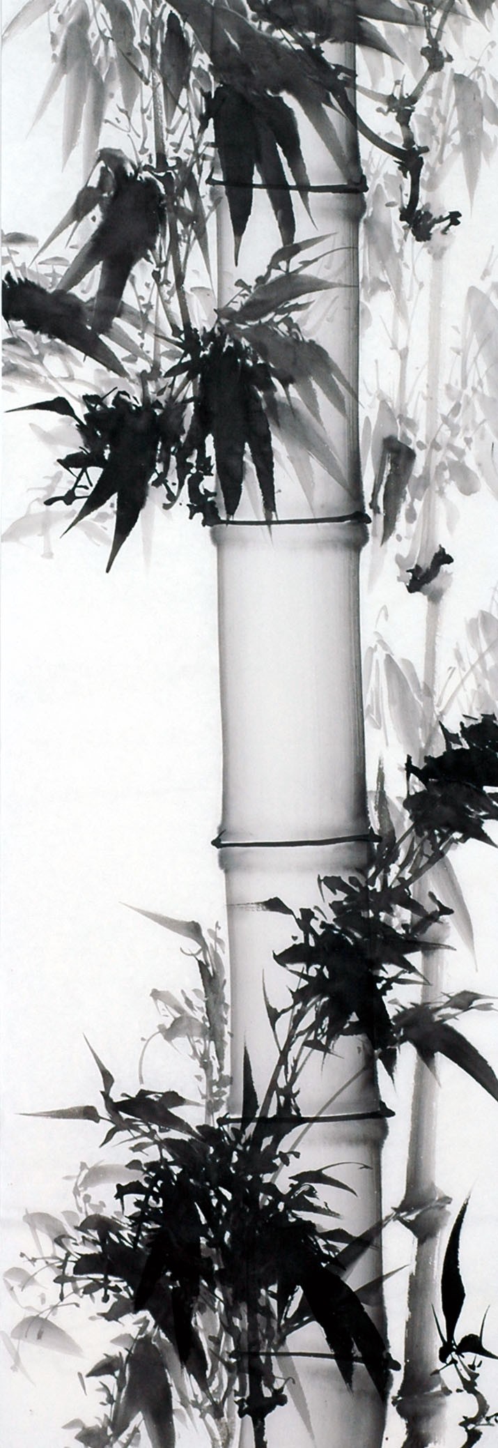 Chinese Ink Bamboo Painting - CNAG011974