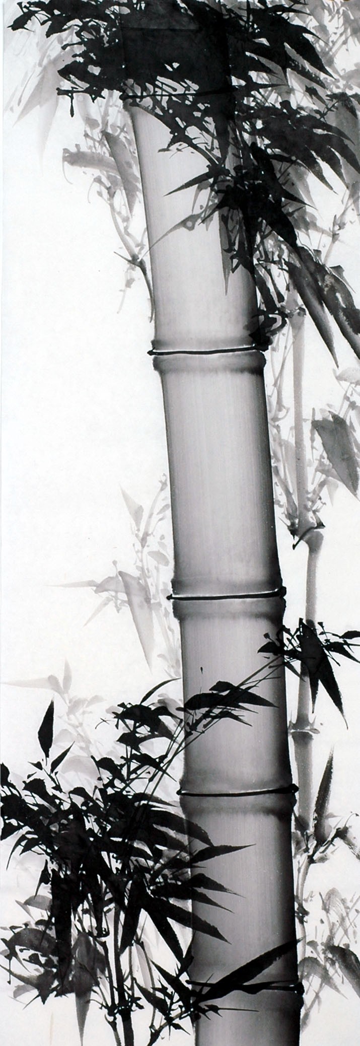 Chinese Ink Bamboo Painting - CNAG011981