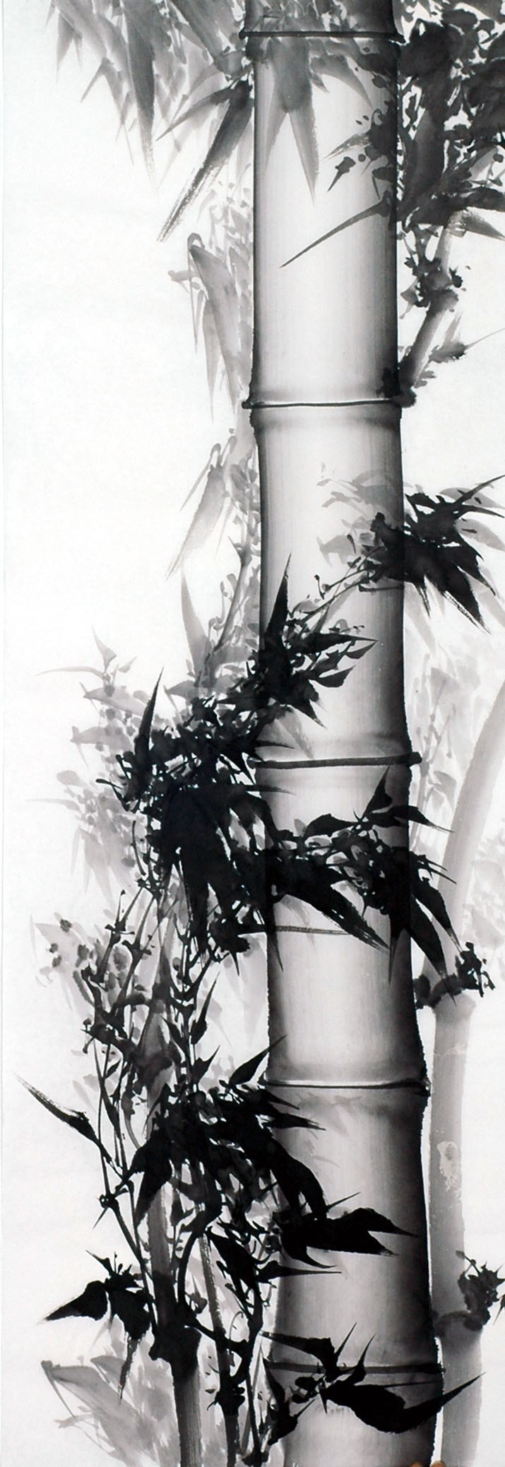 Chinese Ink Bamboo Painting - CNAG011989