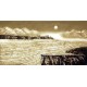 Chinese Landscape Painting - CNAG012014