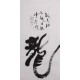 Cursive Scripts - CNAG001195