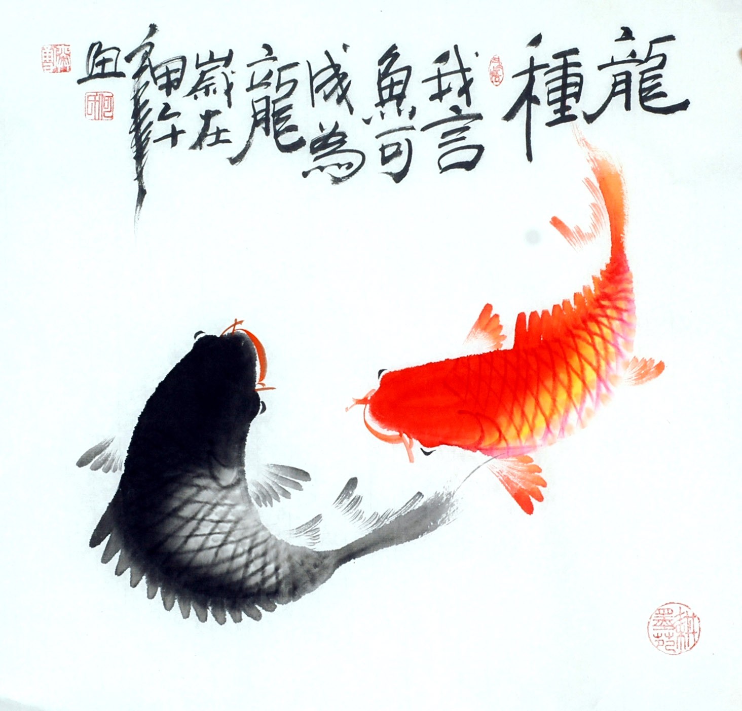 Chinese Fish Painting - CNAG012385