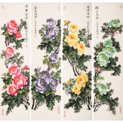 Peony - CNAG001231