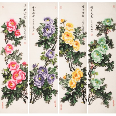 Peony - CNAG001231