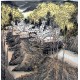 Chinese Landscape Painting - CNAG012462