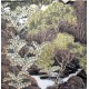 Chinese Landscape Painting - CNAG012465