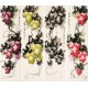 Grapes - CNAG001239