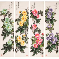 Peony - CNAG001243