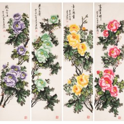 Peony - CNAG001244