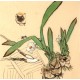 Chinese Flowers&Trees Painting - CNAG012564