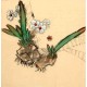 Chinese Flowers&Trees Painting - CNAG012586