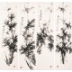 Ink Bamboo - CNAG001251