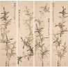 Green Bamboo - CNAG001256