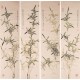 Green Bamboo - CNAG001260