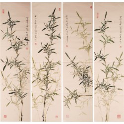 Green Bamboo - CNAG001260