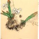 Chinese Flowers&Trees Painting - CNAG012702