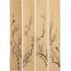 Plum - CNAG001261