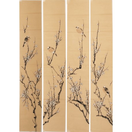 Plum - CNAG001261