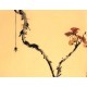 Chinese Flowers&Trees Painting - CNAG012727