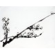 Chinese Flowers&Trees Painting - CNAG012729