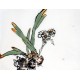 Chinese Flowers&Trees Painting - CNAG012738