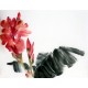 Chinese Flowers&Trees Painting - CNAG012739