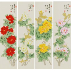 Peony - CNAG001287