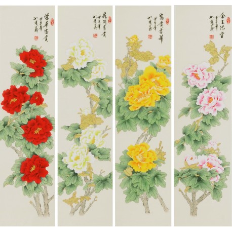 Peony - CNAG001287