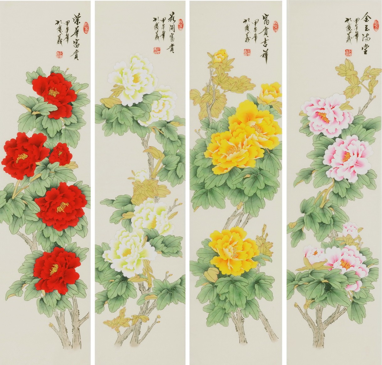 Peony - CNAG001287
