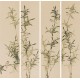Green Bamboo - CNAG001289