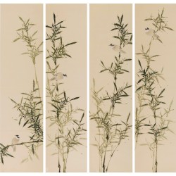 Green Bamboo - CNAG001289