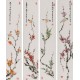 Plum - CNAG001294