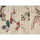 Other Birds - CNAG001299