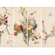 Plum - CNAG001303