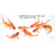 Chinese Fish Painting - CNAG013126