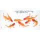 Chinese Fish Painting - CNAG013127