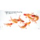 Chinese Fish Painting - CNAG013149