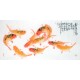 Chinese Fish Painting - CNAG013152