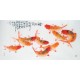 Chinese Fish Painting - CNAG013205
