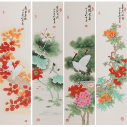 Peony - CNAG001312