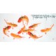 Chinese Fish Painting - CNAG013252