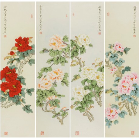 Peony - CNAG001315