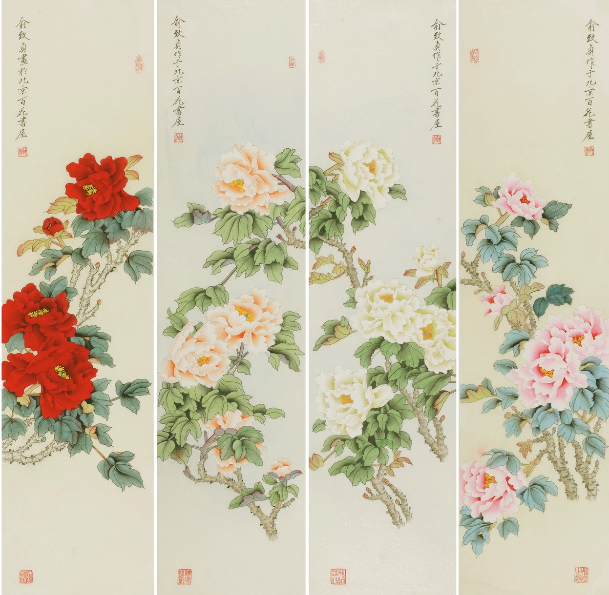 Peony - CNAG001315