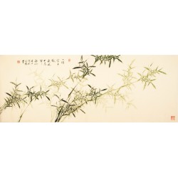 Green Bamboo - CNAG001318