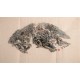 Other Landscape - CNAG001323